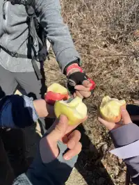 秦皇島11月20號董家長城環線徒步