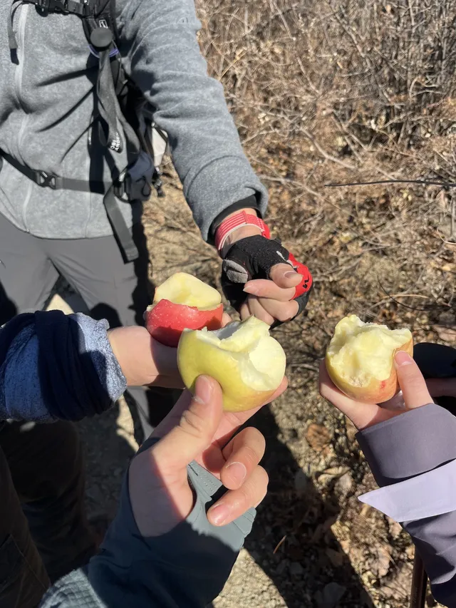 秦皇島11月20號董家長城環線徒步 秦皇島11月20號董家長城環線徒步