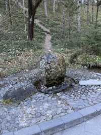 神農架 / 神龍泉與龍吟泉