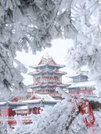 老君山雪境/純玩無購物，高速直達