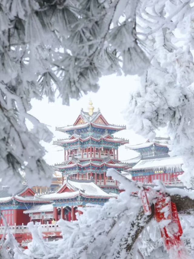 老君山雪境/純玩無購物，高速直達