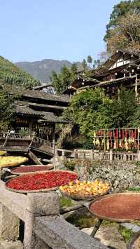 婺源太遠?溫州永嘉林坑村曬秋攻略來啦!