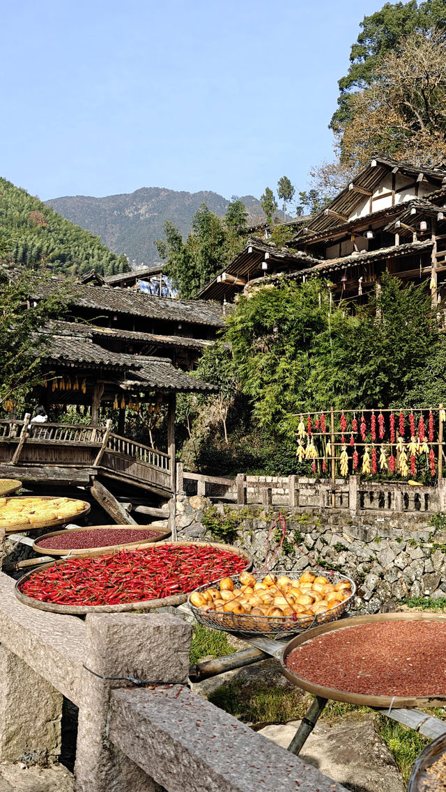 婺源太遠?溫州永嘉林坑村曬秋攻略來啦! 婺源太遠?溫州永嘉林坑村曬秋攻略來啦!