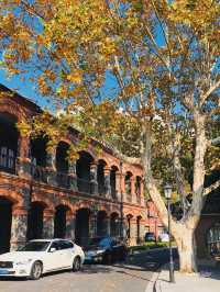 上海好逛的地方都是免費的丨附地址