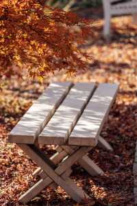 上海秋日私藏3 個小眾賞秋地人少出片不踩雷