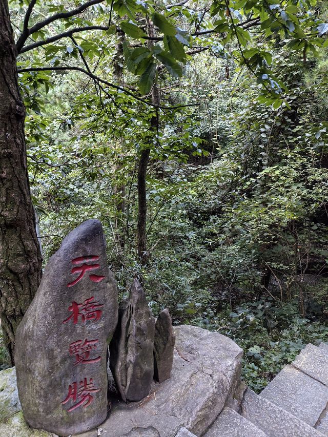 天橋勝境~非橋似橋的意境! 天橋勝境~非橋似橋的意境!