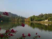 肇慶七星岩|闖入仙氣縈繞的山水畫卷紅蓮橋噴霧封神! 在嶺南也能看「小桂林」!七星岩的喀斯特地貌+