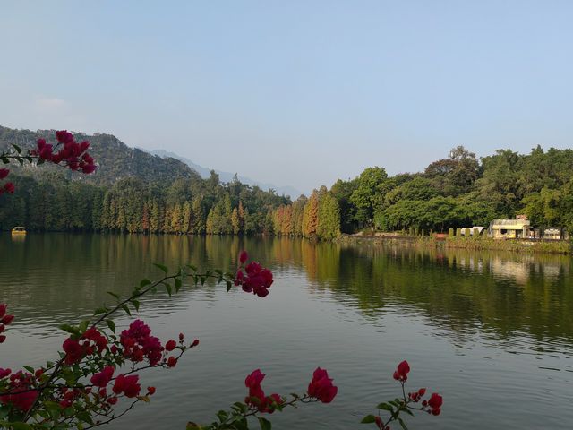 肇慶七星岩|闖入仙氣縈繞的山水畫卷紅蓮橋噴霧封神! 在嶺南也能看「小桂林」!七星岩的喀斯特地貌+ 肇慶七星岩|闖入仙氣縈繞的山水畫卷紅蓮橋噴霧封神! 在嶺南也能看「小桂林」!七星岩的喀斯特地貌+