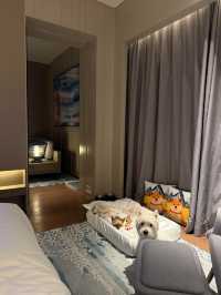 上海臨港凱悅酒店｜不出滬小眾度假天堂，寵物友好酒店打卡！