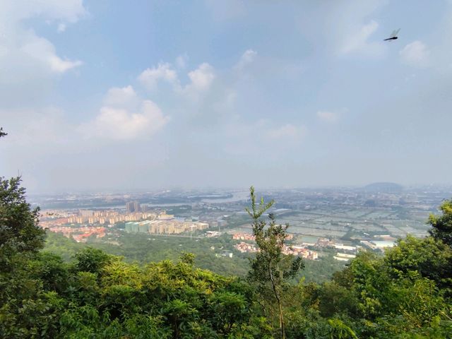 南澳島極限一日遊全攻略！暴走7大景點不踩雷