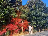 你是來拉屎的吧?!