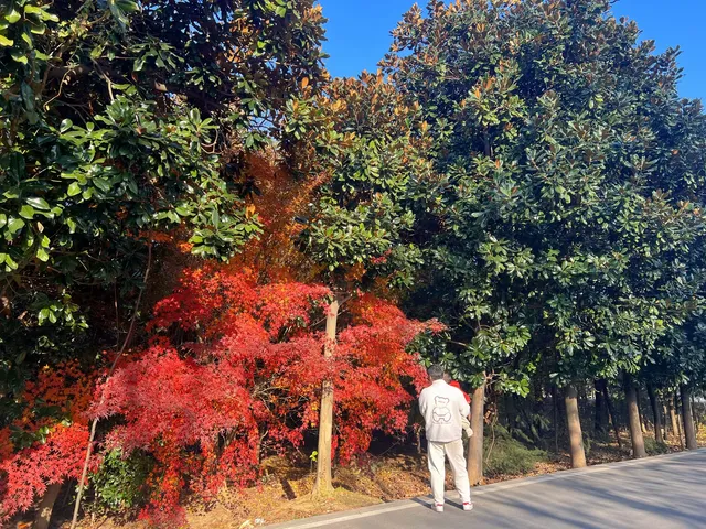 你是來拉屎的吧?! 你是來拉屎的吧?!