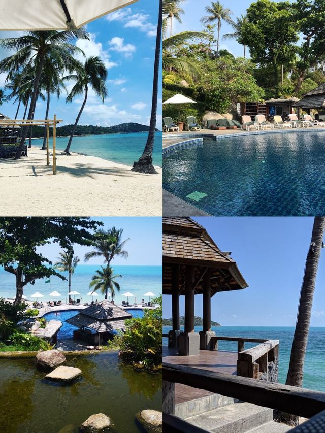 蘇梅島Nora海濱度假村體驗非凡 ： 諾拉海濱精品度假村 查汶海灘波普特，泰國 