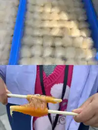 金華至黃山三天兩晚遊