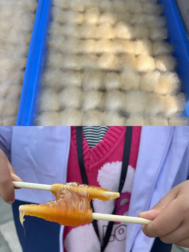 金華至黃山三天兩晚遊 金華至黃山三天兩晚遊