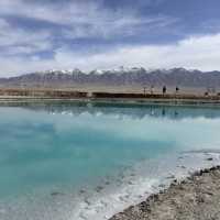 青海秘境｜送你一朵翡翠色的小紅花大柴旦翡翠湖全攻略