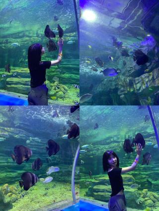 Really not coming to Jurassic Guangxi to play?