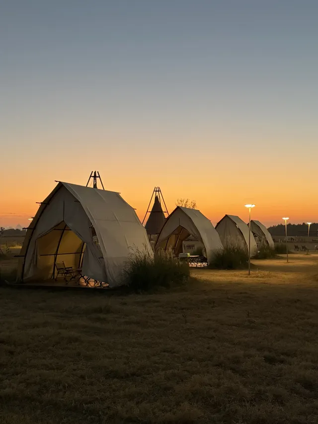 蘇州陽澄湖｜帶快樂小狗來草坪撒歡打滾