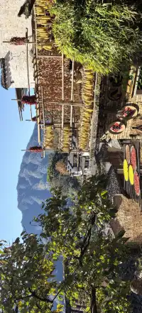 上海出發~三清山篁嶺兩日遊(三清山篇)