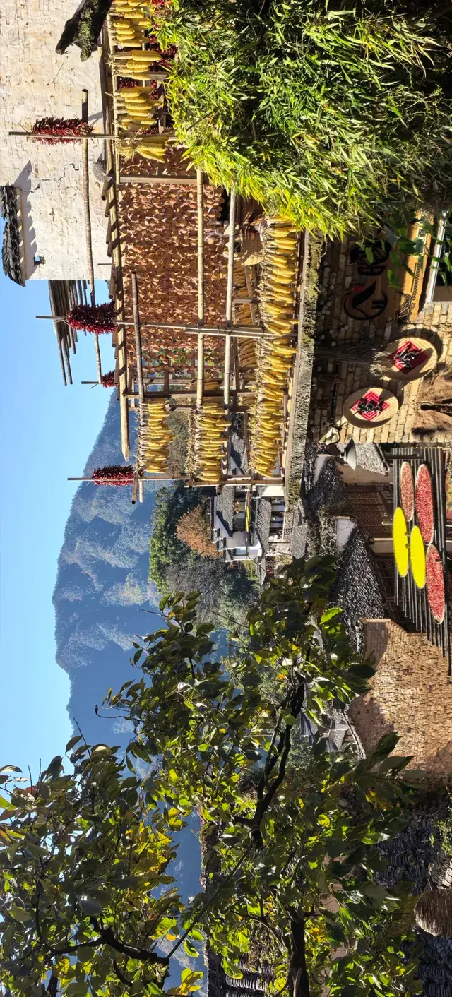 上海出發~三清山篁嶺兩日遊(三清山篇) 上海出發~三清山篁嶺兩日遊(三清山篇)