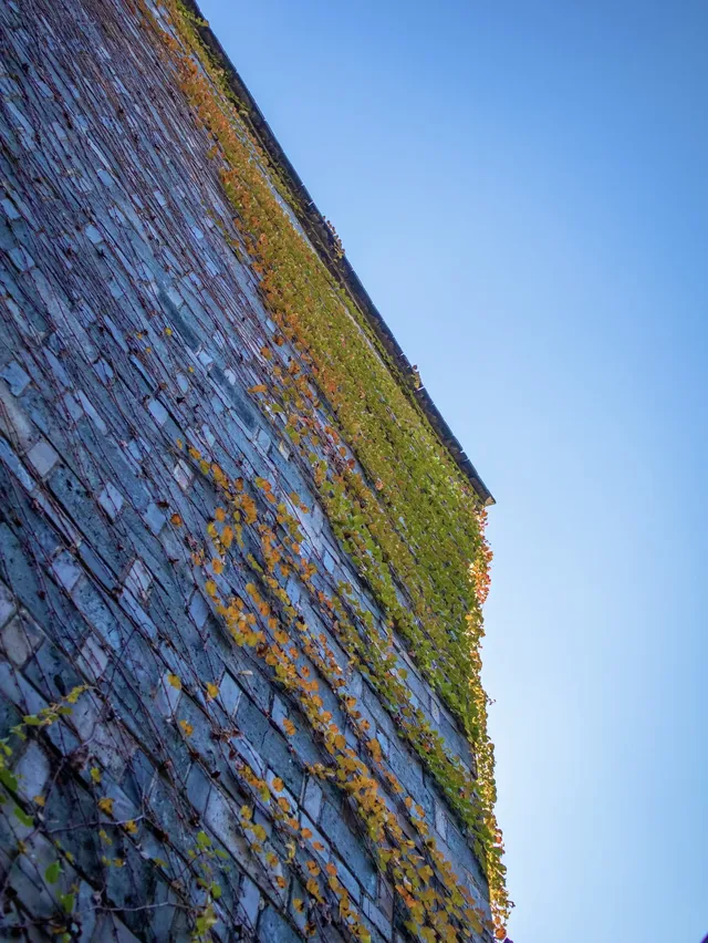 烏鎮什麼時候免門票? 烏鎮什麼時候免門票?