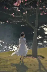 青秀山這片湖，又美又出片，還能拍到仙氣飄飄