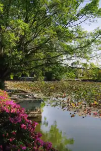 廣州週末遊!超適合i人放空的古村塱頭村!