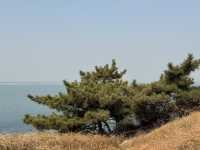 煙台養馬島避寒|清素逸居的治癒慢時光