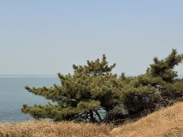 煙台養馬島避寒|清素逸居的治癒慢時光 煙台養馬島避寒|清素逸居的治癒慢時光