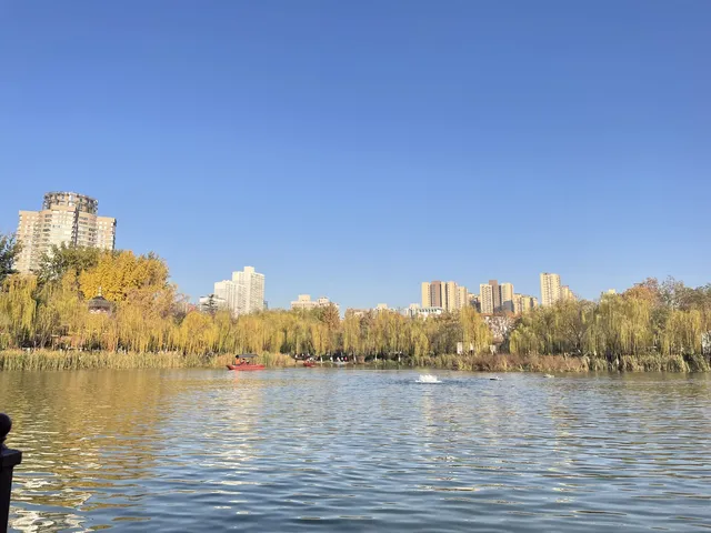 西安興慶宮｜在皇家園林裡接住最後一捧銀杏