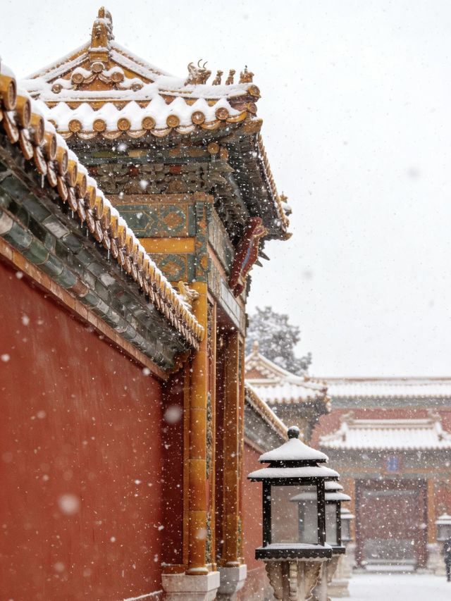 北京冬季旅遊包車這事兒,我可得跟你唠唠。 北京冬季旅遊包車這事兒,我可得跟你唠唠。