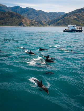 南北島＋8人の小グループ！11日間でニュージーランド全景を解放