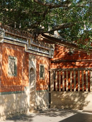 Winter in Quanzhou is an earthly paradise (with a check-in guide)