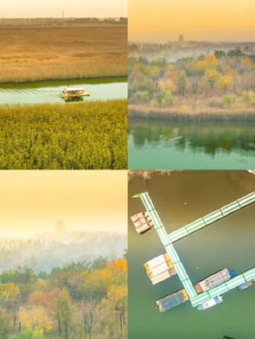 Binzhou 2-Day 1-Night Food and Fun Guide: Slow-Paced and Super Healing