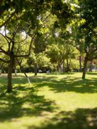 保定這座江南風公園是夏日避暑的仙境！