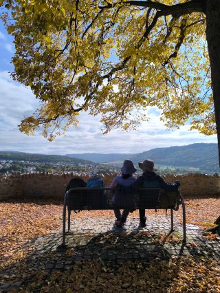 Europe Slow Travel 08 - Autumn in Germany's Moselle Valley