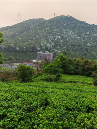 Yunfu Xiangwo Mountain 2 Days 1 Night Guide | Stay in Lingnan's Natural Oxygen Bar