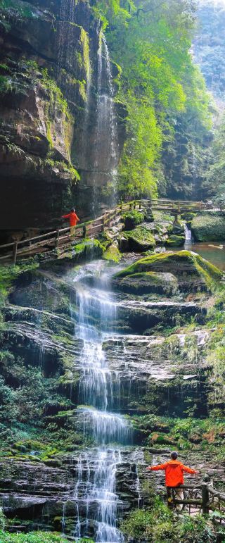 成都周辺のこの仙境、最高すぎる！碧峰峡大プッシュ