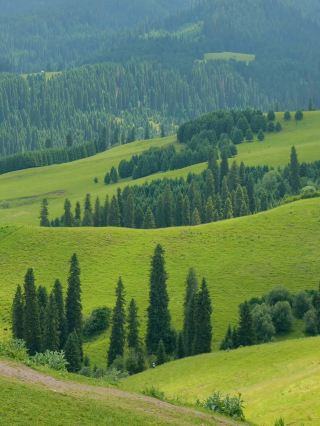 Don’t blindly rush to Nalati | Is it really worth visiting?