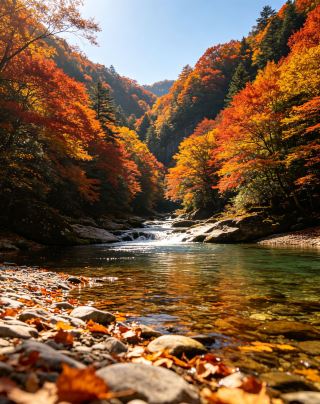 秦巴の秋が本格始動｜5日間紅葉に包まれて絶景撮影