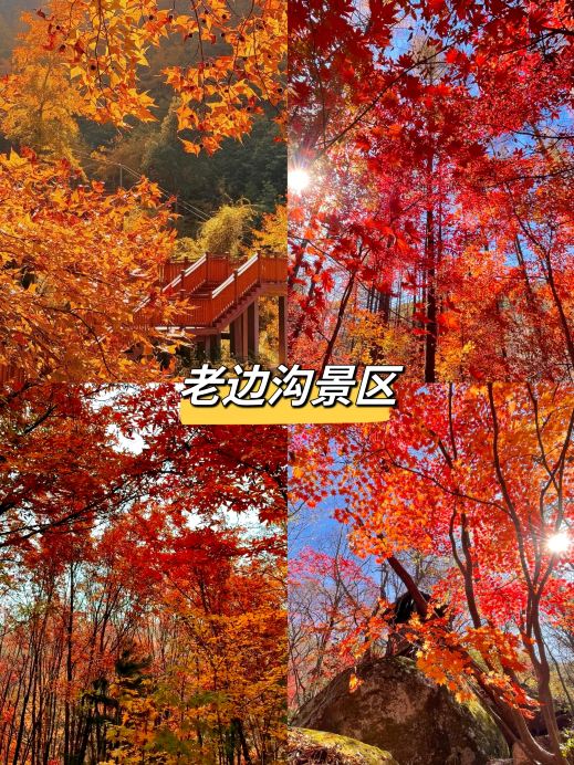 2026年 蛟河秋の風景おすすめ| Trip Moments