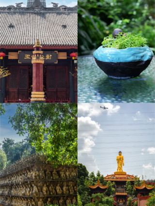 Back from a rough trip to Mianyang, and I really don't recommend visiting in September–October