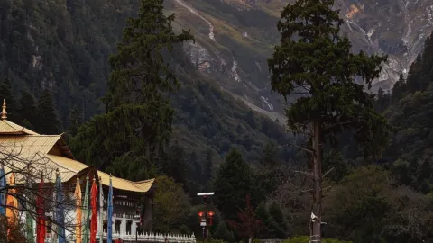 Summit the Sacred Lake in Yubeng to see snow-capped mountains and a sea of clouds — traveler post in Yulin