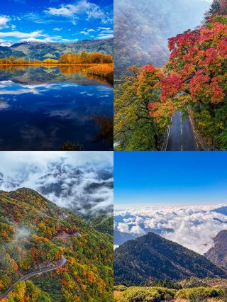 เชินหนงเจีย | สัมผัสดินแดนลึกลับแห่งฤดูใบไม้ร่วงบนหลังคาภาคกลางของจีน ณ ละติจูด 30° เหนือ