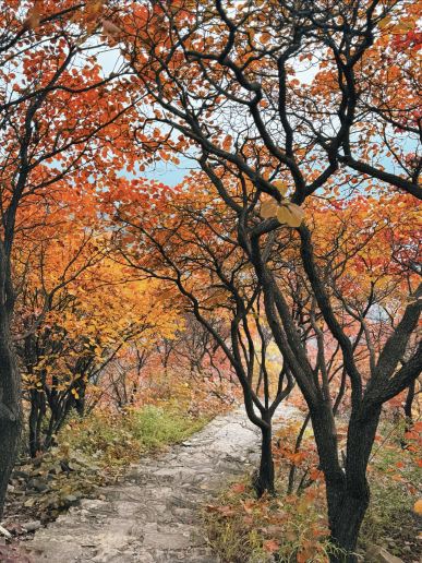 4 underrated, amazing niche destinations for trips around Shandong