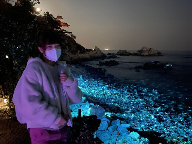 울산 핫플 명선도 야경