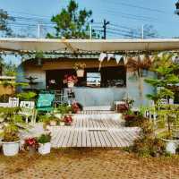 Coffee in Love  คาเฟ่น่ารักเมืองปาย
