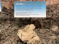 澳洲｜南澳州｜Coober Pedy出產寶石的地方
