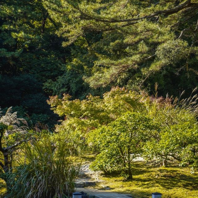 100년 전통의 일본 공원, 리쓰린공원 