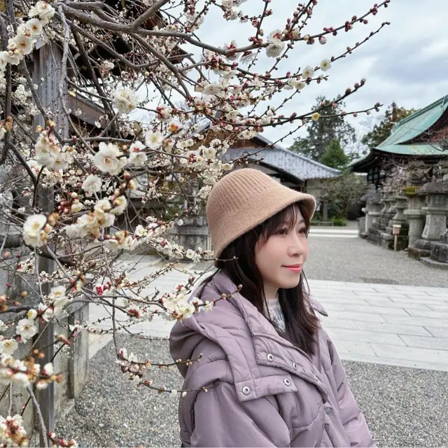 京都⛩️天滿宮梅花祭🌸 2023-2月 